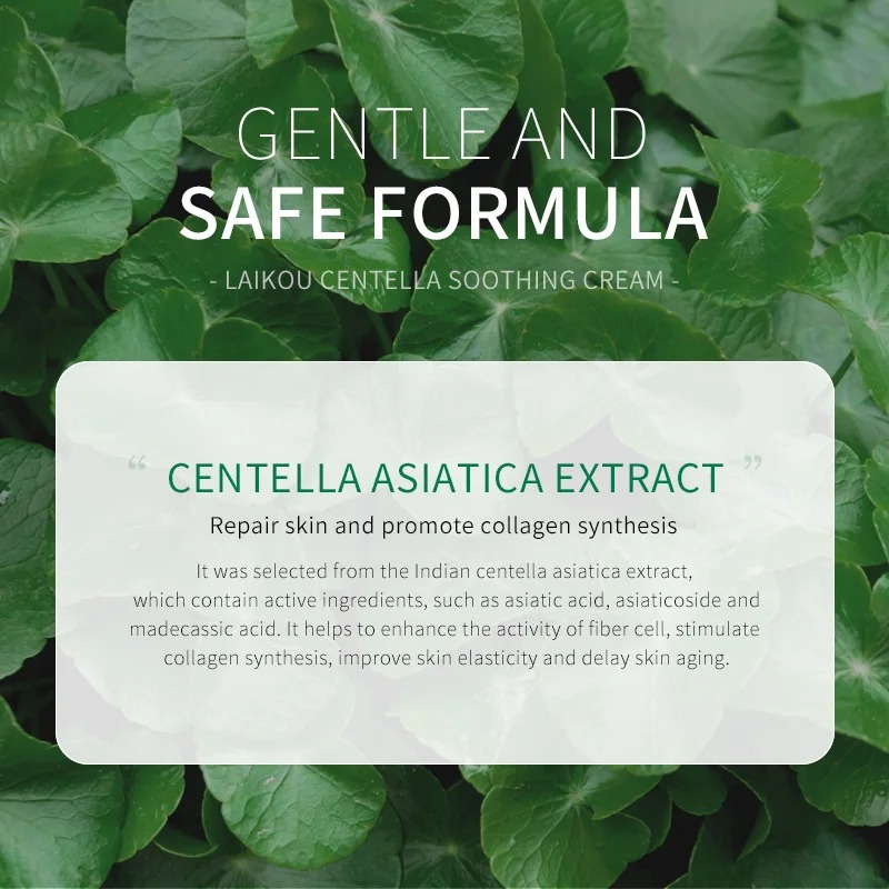 Centella Facial Cleanser Face  - Skincare Oily Skin recensione e prezzo